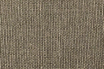 55013 Orient Wilde Dove