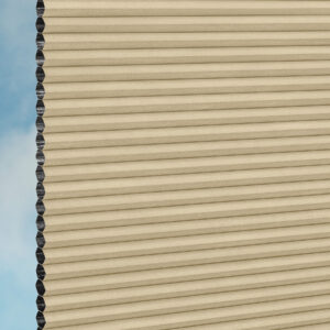 Beige 981.18